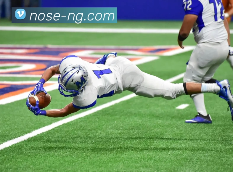 NG体育发展历程